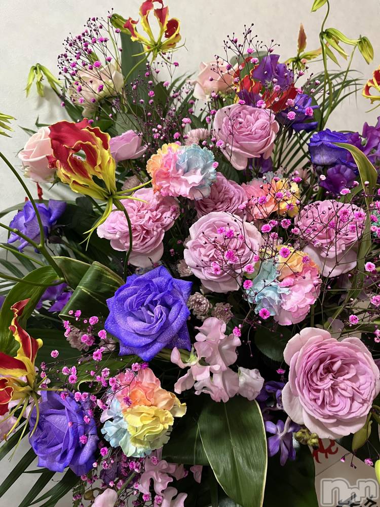 ��ˬ����Х��顦����֥���� �ץ���� ��ˬ(����� �ץ���� ����) ɱǵ �����2��1���̥�֥�����🩵��