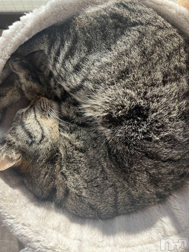 ��ˬ����Х��顦����֥���� �ץ���� ��ˬ(����� �ץ���� ����) ɱǵ �����2��28���̥�֥�����2��28�� 19��09ʬ�Υ֥�����