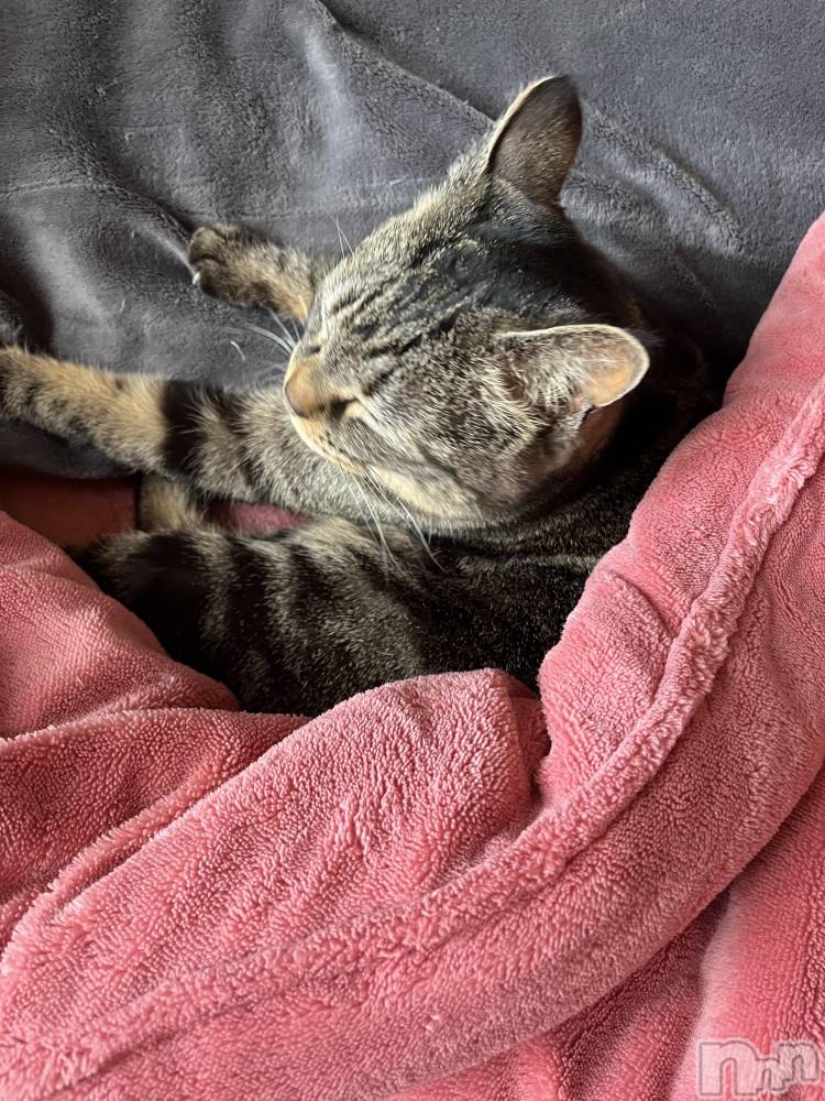 ��ˬ����Х��顦����֥���� �ץ���� ��ˬ(����� �ץ���� ����) ɱǵ �����3��17���̥�֥����֤��ˤ��