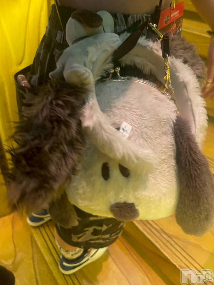 ��ˬ����Х��顦����֥���� �ץ���� ��ˬ(����� �ץ���� ����) ɱǵ �����9��6���̥�֥�����🐾🐶🍪��