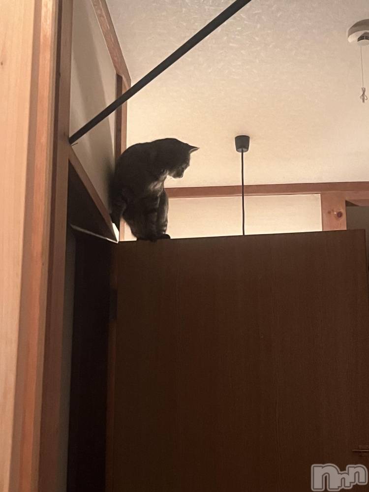 ��ˬ����Х��顦����֥���� �ץ���� ��ˬ(����� �ץ���� ����) ɱǵ �����10��29���̥�֥�����🫶��