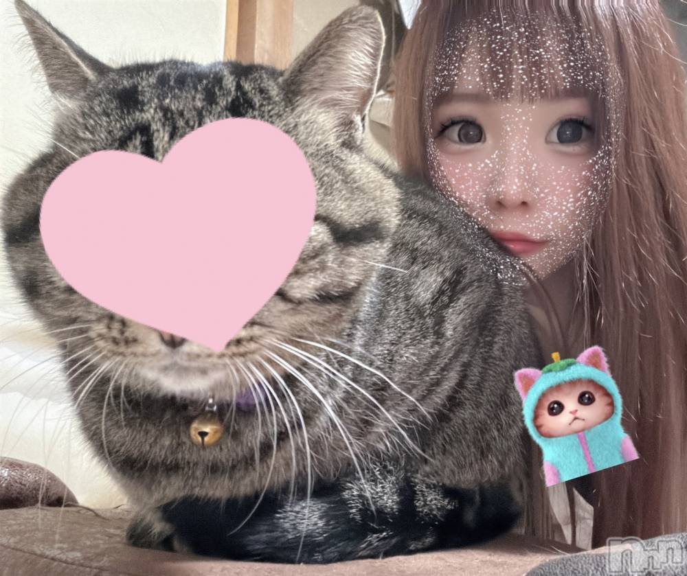 ��ˬ����Х��顦����֥���� �ץ���� ��ˬ(����� �ץ���� ����) ɱǵ �����11��15���̥�֥����֤ˤ���