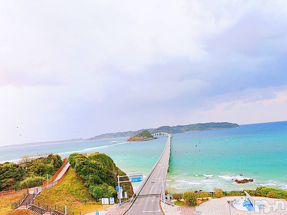 ��ˬ����Х��顦����֥���� �ץ���� ��ˬ(����� �ץ���� ����) ɱǵ �����12��9���̥�֥�����🐑��