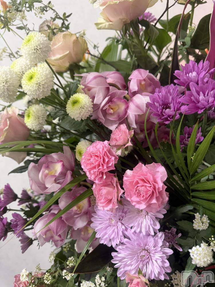 ��ˬ����Х��顦����֥���� �ץ���� ��ˬ(����� �ץ���� ����) ɱǵ �����1��31���̥�֥����֤ˤ���