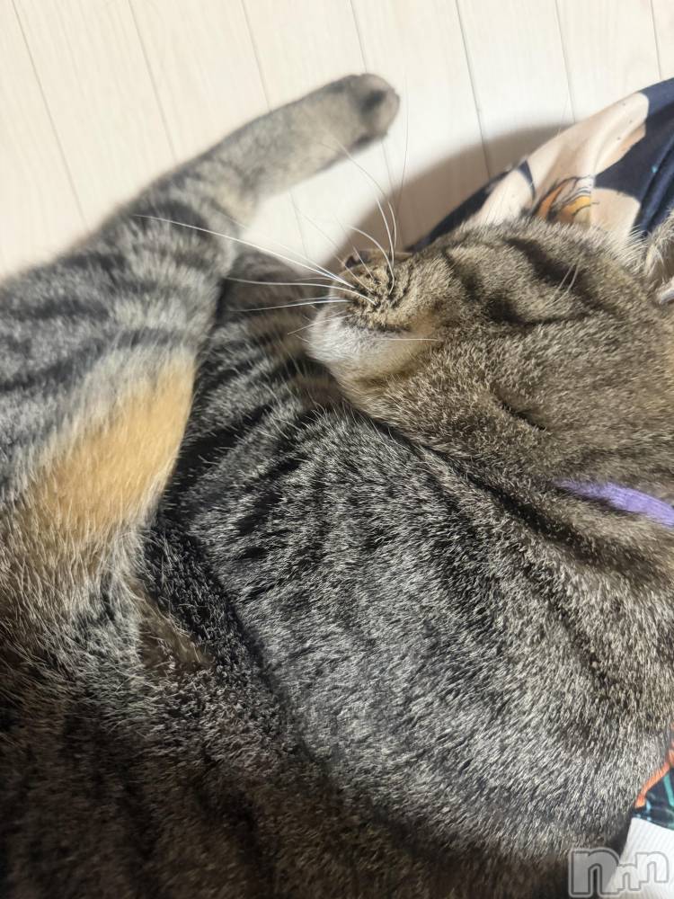 ��ˬ����Х��顦����֥���� �ץ���� ��ˬ(����� �ץ���� ����) ɱǵ �����4��15���̥�֥����֤ˤ���