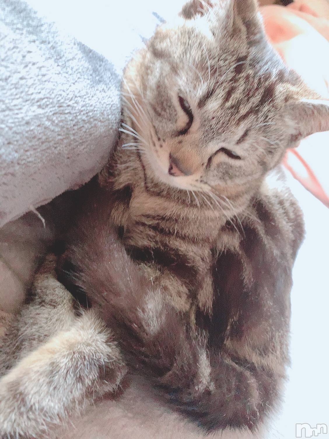 ��ˬ����Х��顦����֥���� �ץ���� ��ˬ(����� �ץ���� ����) ��2020ǯ6��16���̥�֥����֤��뿲��