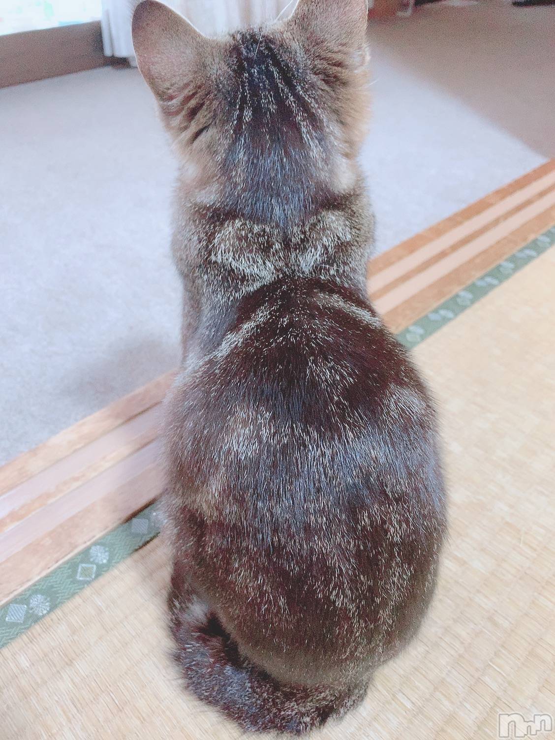 ��ˬ����Х��顦����֥���� �ץ���� ��ˬ(����� �ץ���� ����) ��2020ǯ6��29���̥�֥�����♡♡♡��