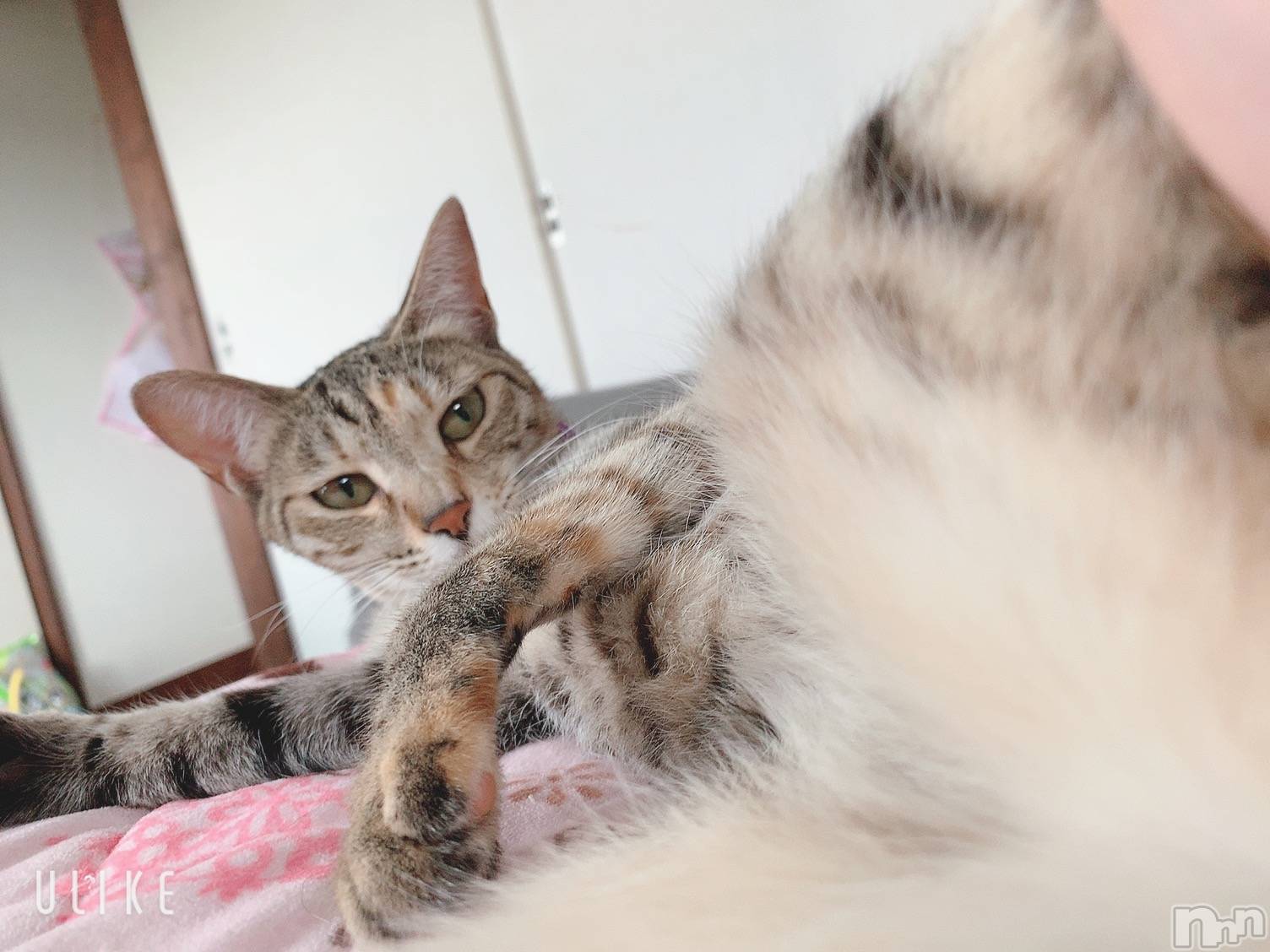 ��ˬ����Х��顦����֥���� �ץ���� ��ˬ(����� �ץ���� ����) ��2020ǯ7��8���̥�֥����֢�(^���ئ�^)����