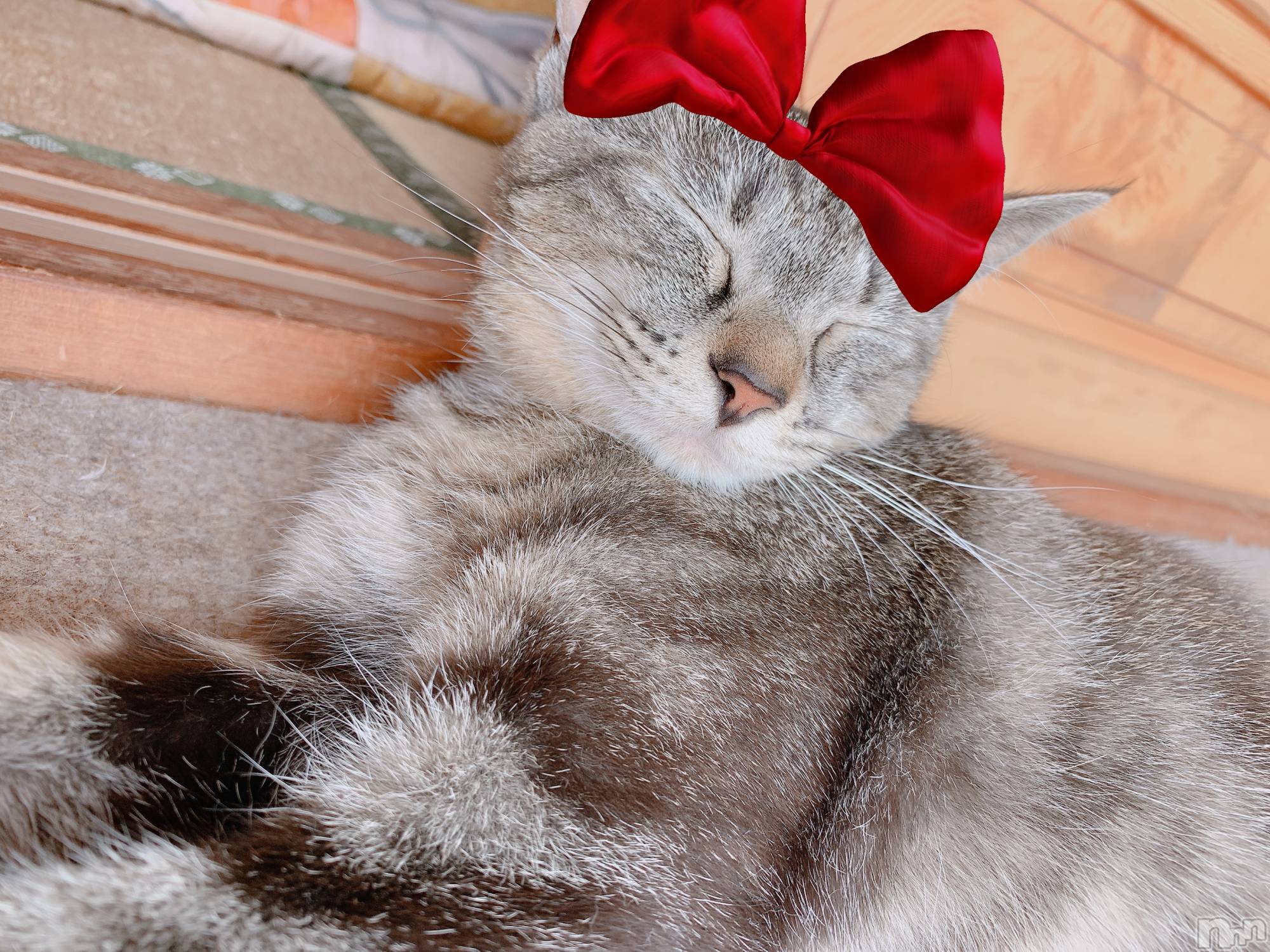 ��ˬ����Х��顦����֥���� �ץ���� ��ˬ(����� �ץ���� ����) ��2020ǯ8��15���̥�֥����ֽжС�