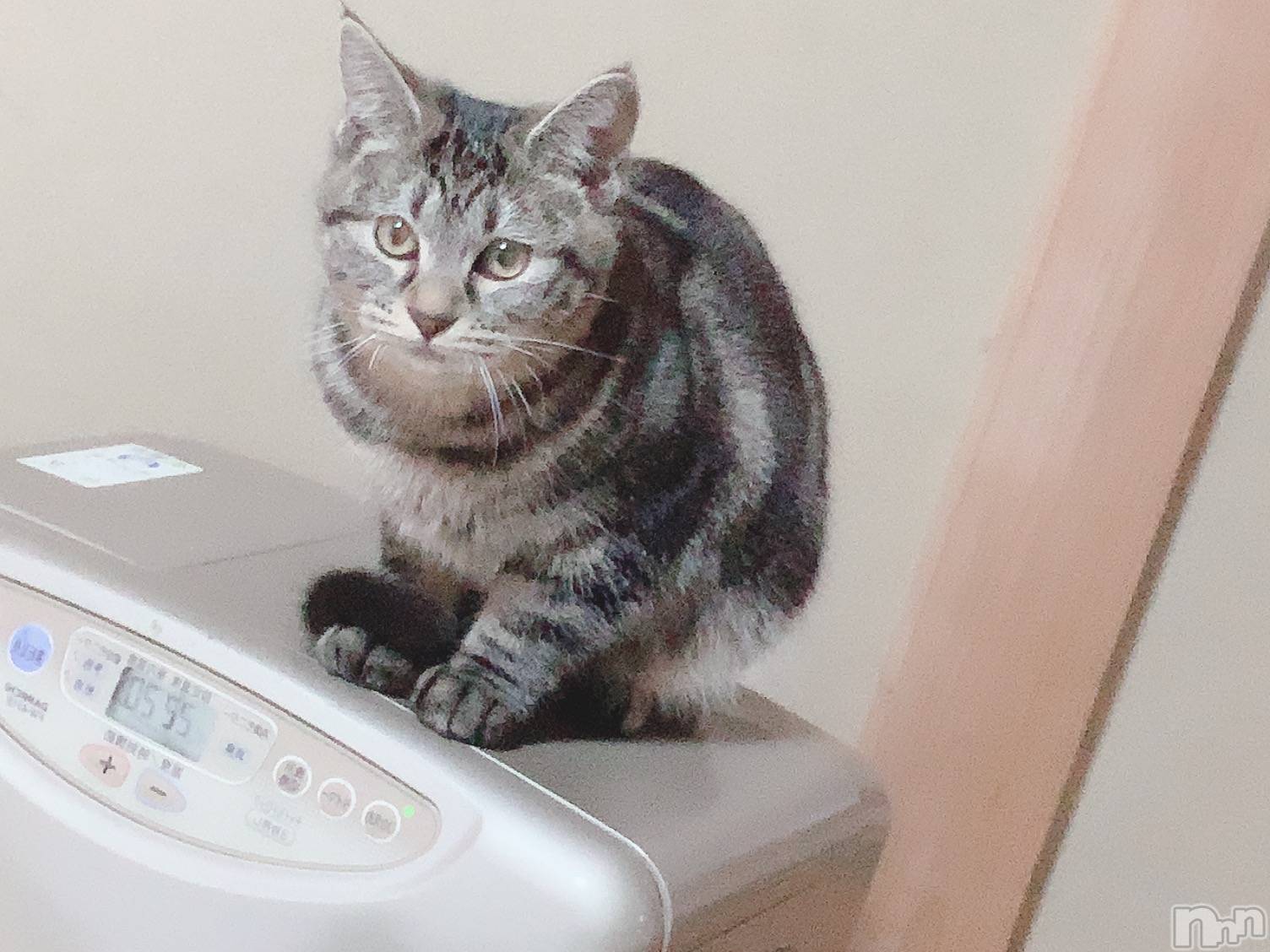 ��ˬ����Х��顦����֥���� �ץ���� ��ˬ(����� �ץ���� ����) ��2020ǯ9��28���̥�֥�����9��28�� 22��15ʬ�Υ֥�����