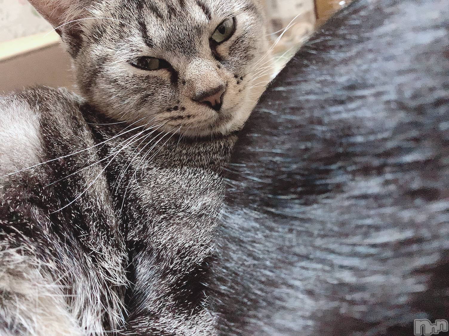 ��ˬ����Х��顦����֥���� �ץ���� ��ˬ(����� �ץ���� ����) ��2020ǯ10��23���̥�֥����֥ϥ�������🎃��