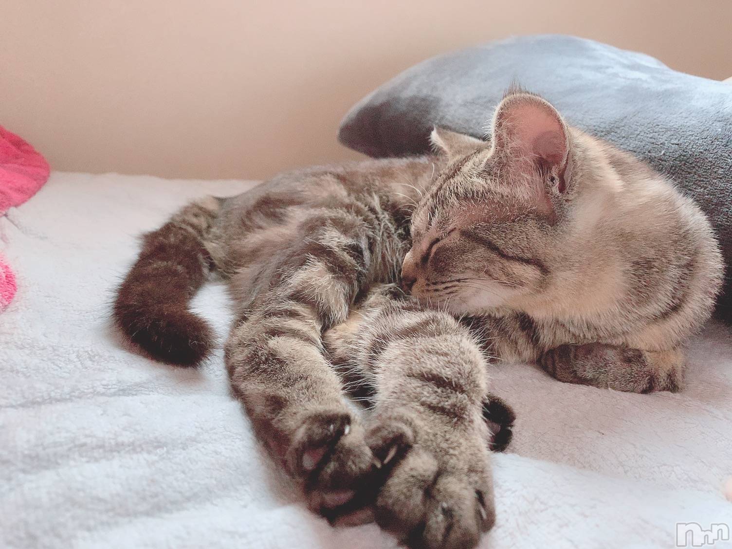 ��ˬ����Х��顦����֥���� �ץ���� ��ˬ(����� �ץ���� ����) ��2020ǯ12��30���̥�֥����ֽжС�