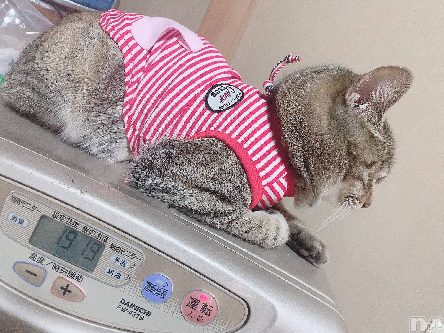 ��ˬ����Х��顦����֥���� �ץ���� ��ˬ(����� �ץ���� ����) ��2021ǯ1��6���̥�֥����ֽжС�