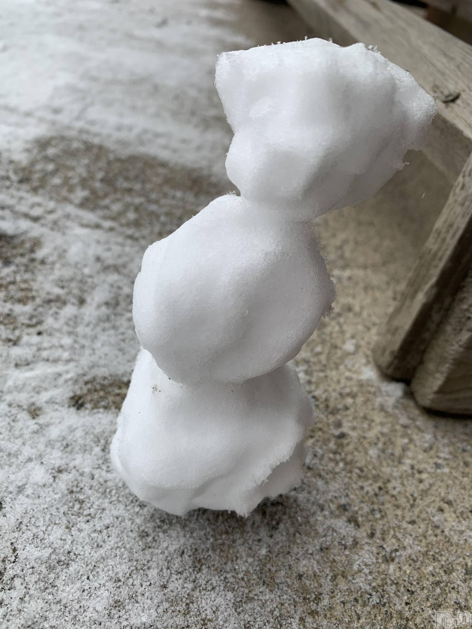 ��ˬ����Х��顦����֥���� �ץ���� ��ˬ(����� �ץ���� ����) ��2021ǯ1��18���̥�֥����ֽжФǤ�����