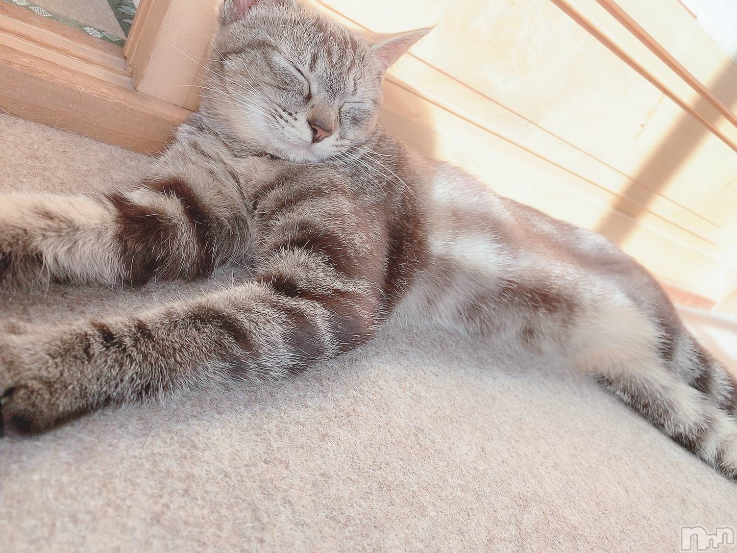 ��ˬ����Х��顦����֥���� �ץ���� ��ˬ(����� �ץ���� ����) ��2021ǯ2��22���̥�֥����֤����ˤ���