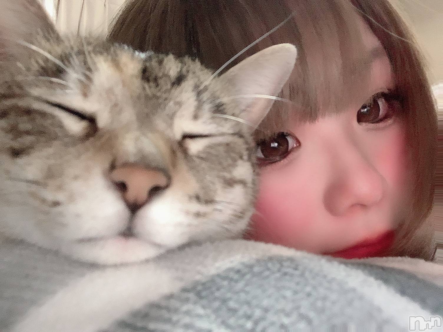 ��ˬ����Х��顦����֥���� �ץ���� ��ˬ(����� �ץ���� ����) ��2021ǯ2��26���̥�֥����ֽжС�