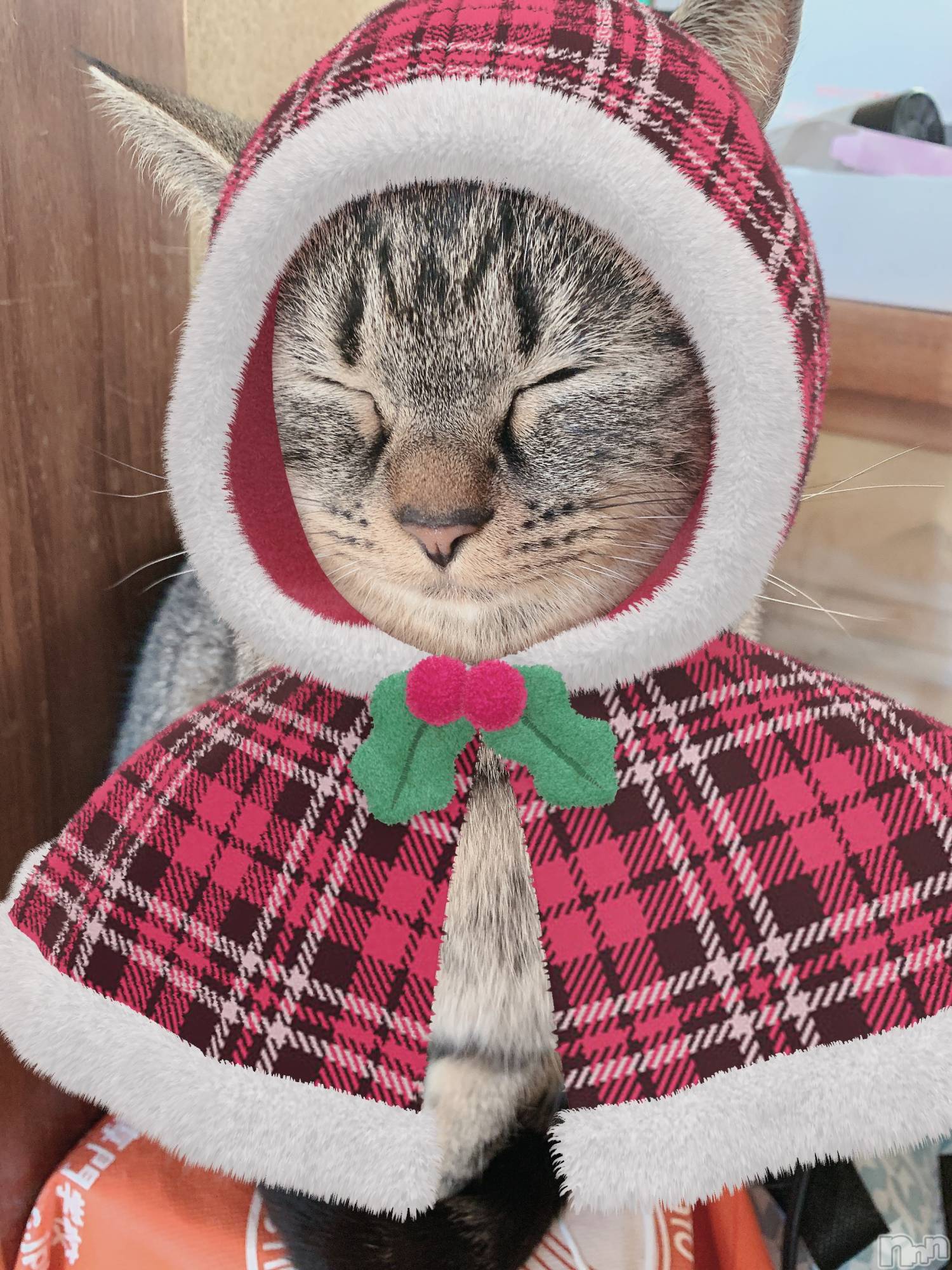 ��ˬ����Х��顦����֥���� �ץ���� ��ˬ(����� �ץ���� ����) ��2021ǯ2��27���̥�֥����ֽжС�