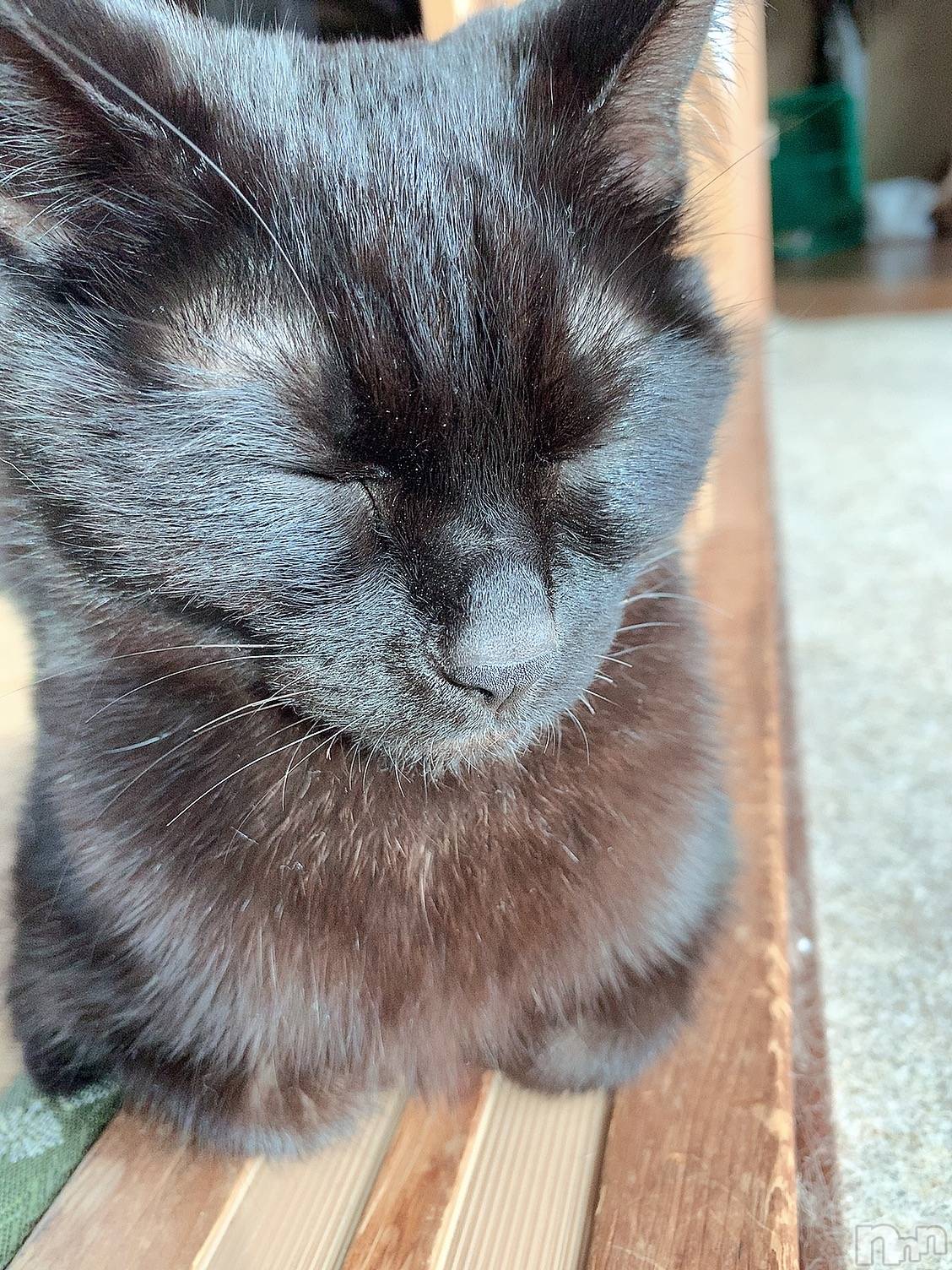 ��ˬ����Х��顦����֥���� �ץ���� ��ˬ(����� �ץ���� ����) ��2021ǯ6��10���̥�֥����֤�����