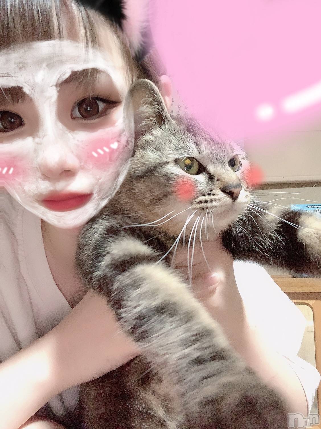 ��ˬ����Х��顦����֥���� �ץ���� ��ˬ(����� �ץ���� ����) ��2021ǯ6��15���̥�֥����֤ˤ��🐈��