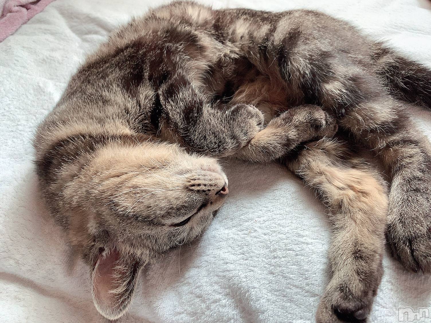 ��ˬ����Х��顦����֥���� �ץ���� ��ˬ(����� �ץ���� ����) ��2021ǯ6��21���̥�֥����ֽжС�