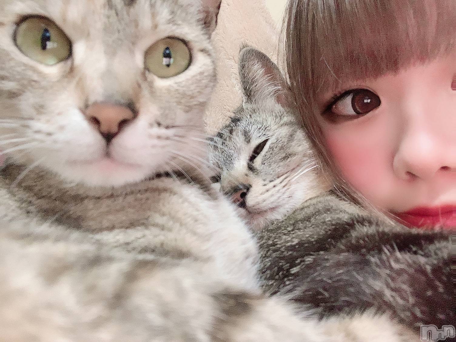 ��ˬ����Х��顦����֥���� �ץ���� ��ˬ(����� �ץ���� ����) ��2021ǯ6��30���̥�֥�����😟😟��