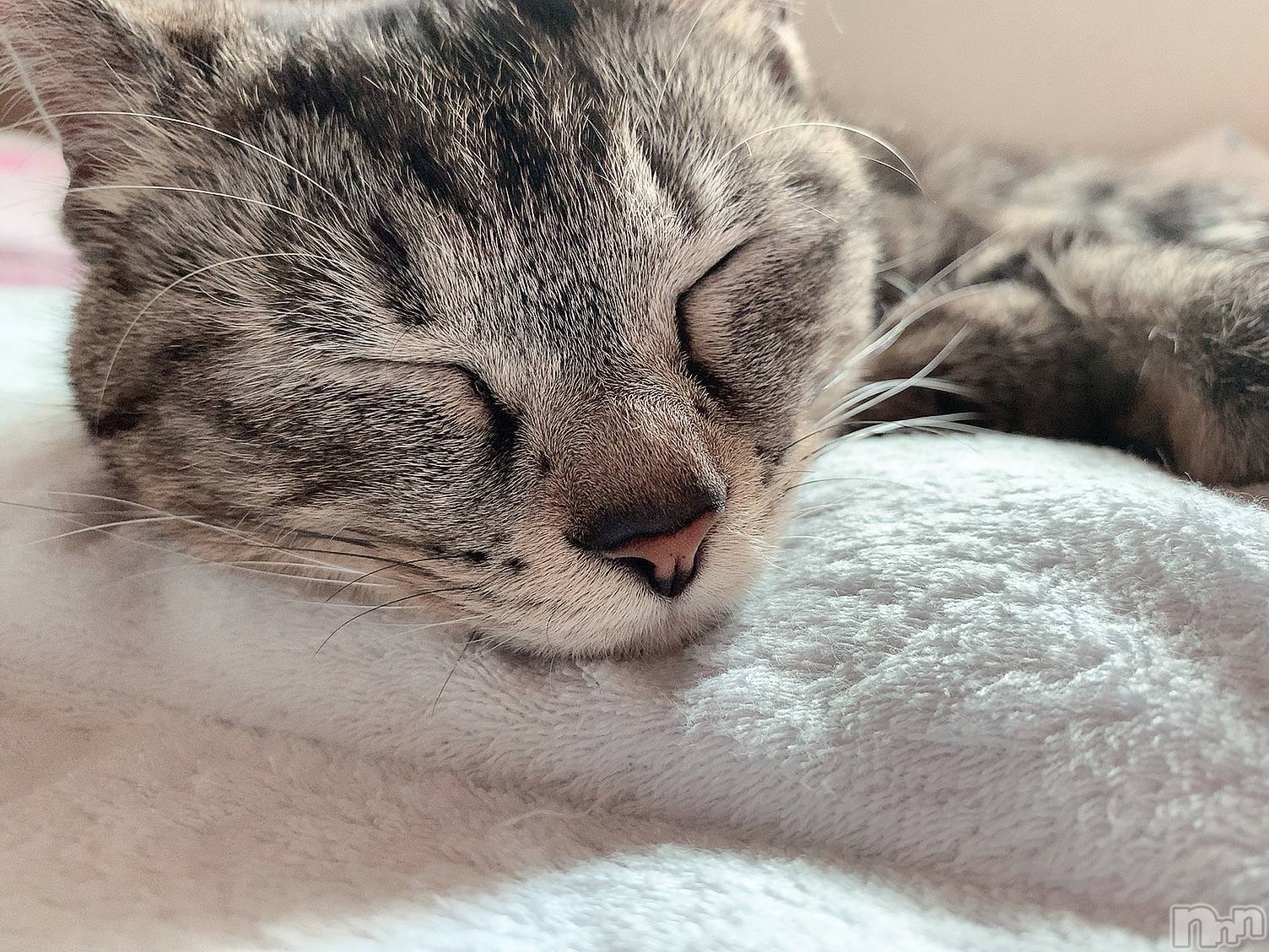 ��ˬ����Х��顦����֥���� �ץ���� ��ˬ(����� �ץ���� ����) ��2021ǯ9��28���̥�֥�����9��28�� 20��38ʬ�Υ֥�����