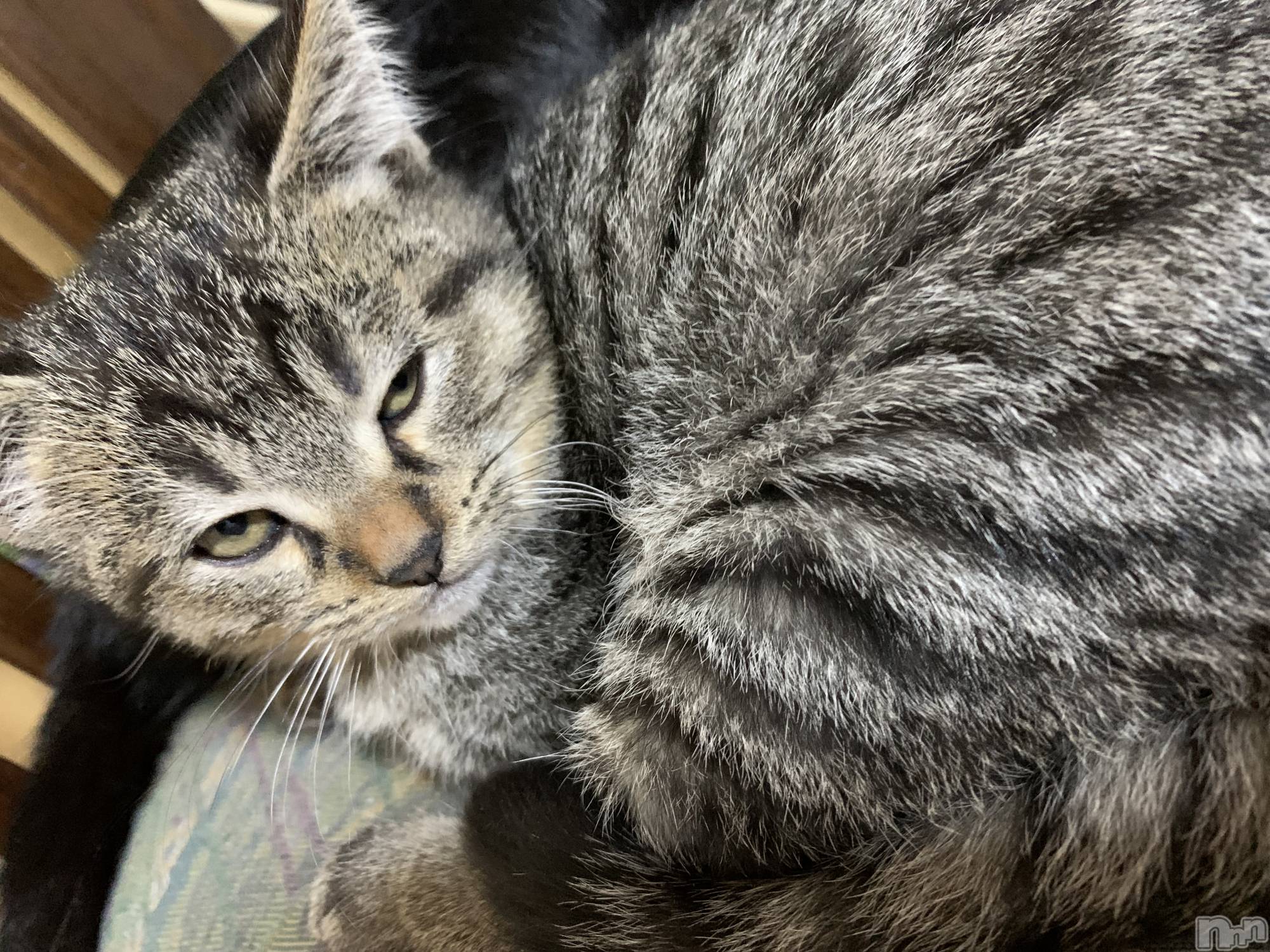 ��ˬ����Х��顦����֥���� �ץ���� ��ˬ(����� �ץ���� ����) ��2021ǯ12��22���̥�֥����֤ˤ���