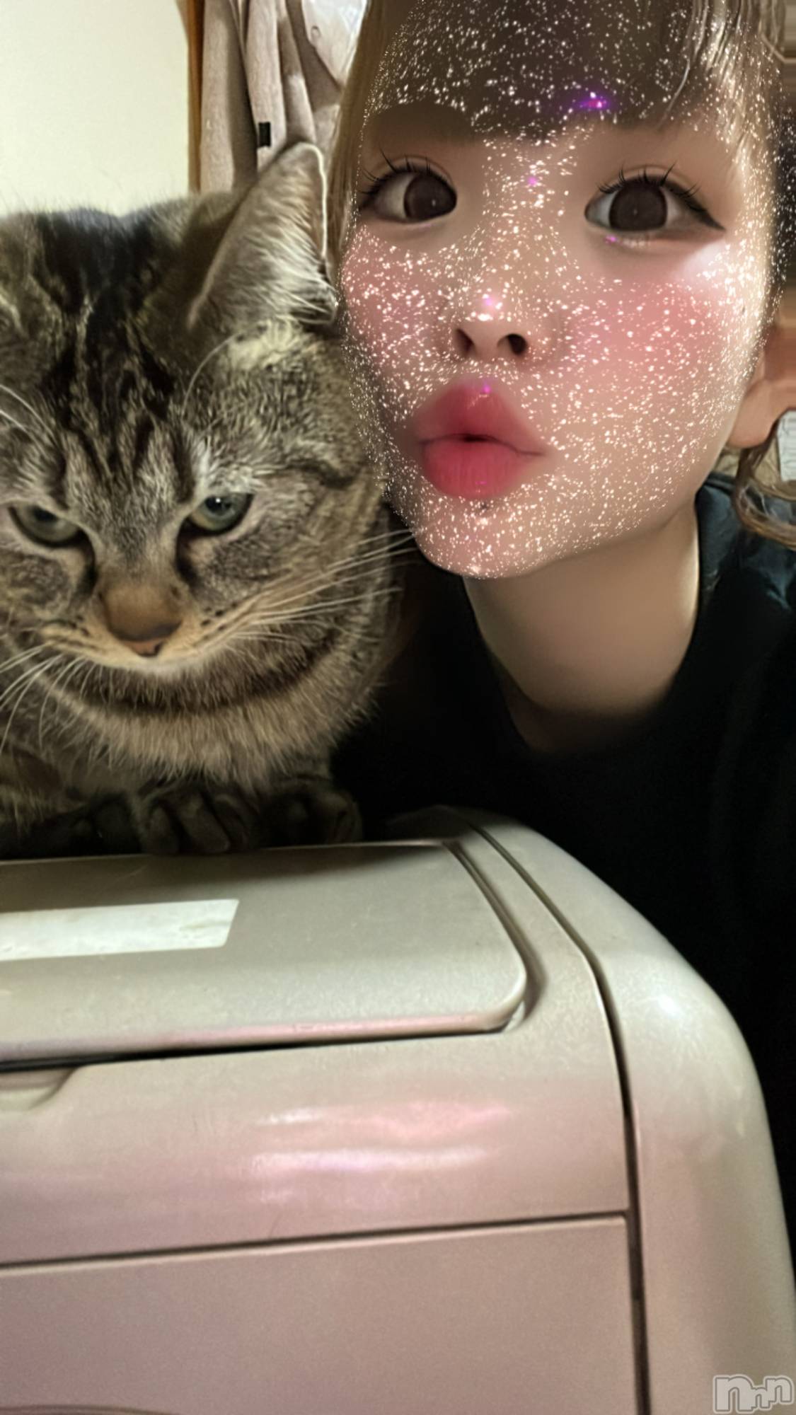 ��ˬ����Х��顦����֥���� �ץ���� ��ˬ(����� �ץ���� ����) ��2022ǯ3��31���̥�֥�����🐈💗��