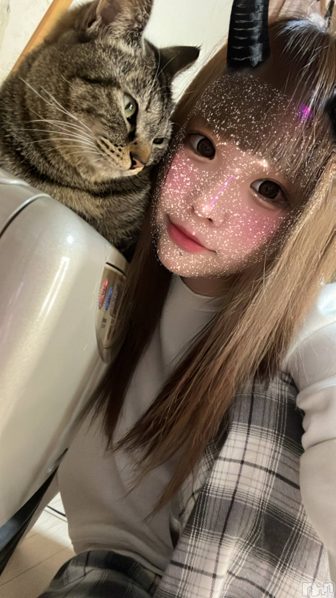 ��ˬ����Х��顦����֥���� �ץ���� ��ˬ(����� �ץ���� ����) ��2022ǯ4��6���̥�֥�����🐈��