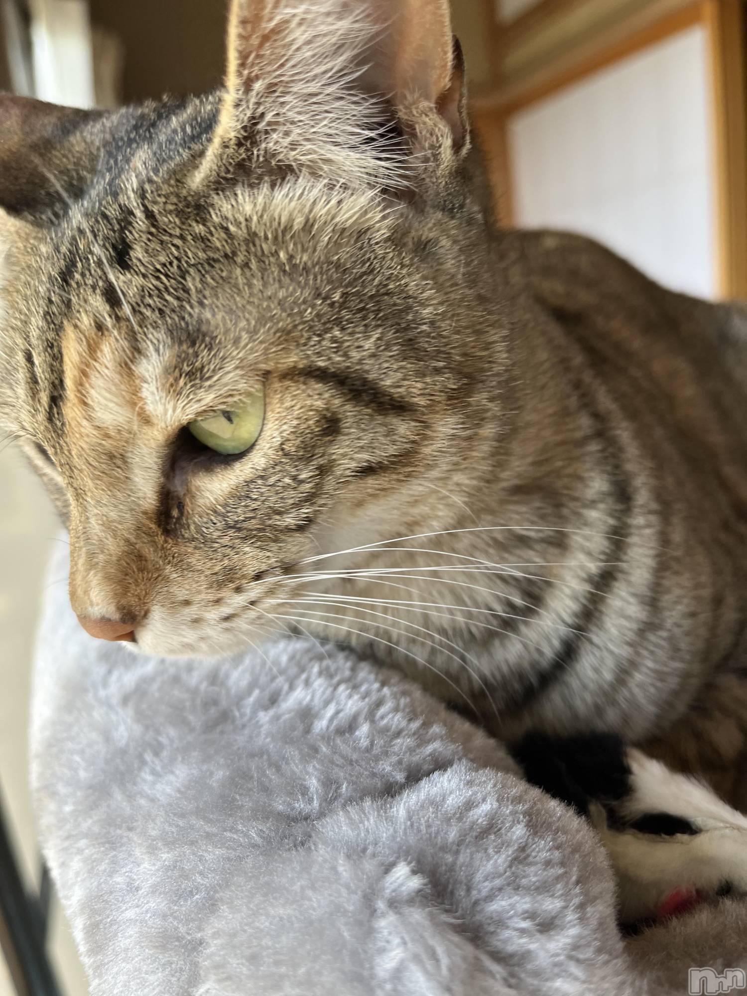 ��ˬ����Х��顦����֥���� �ץ���� ��ˬ(����� �ץ���� ����) ��2022ǯ5��7���̥�֥����֤���Ф���