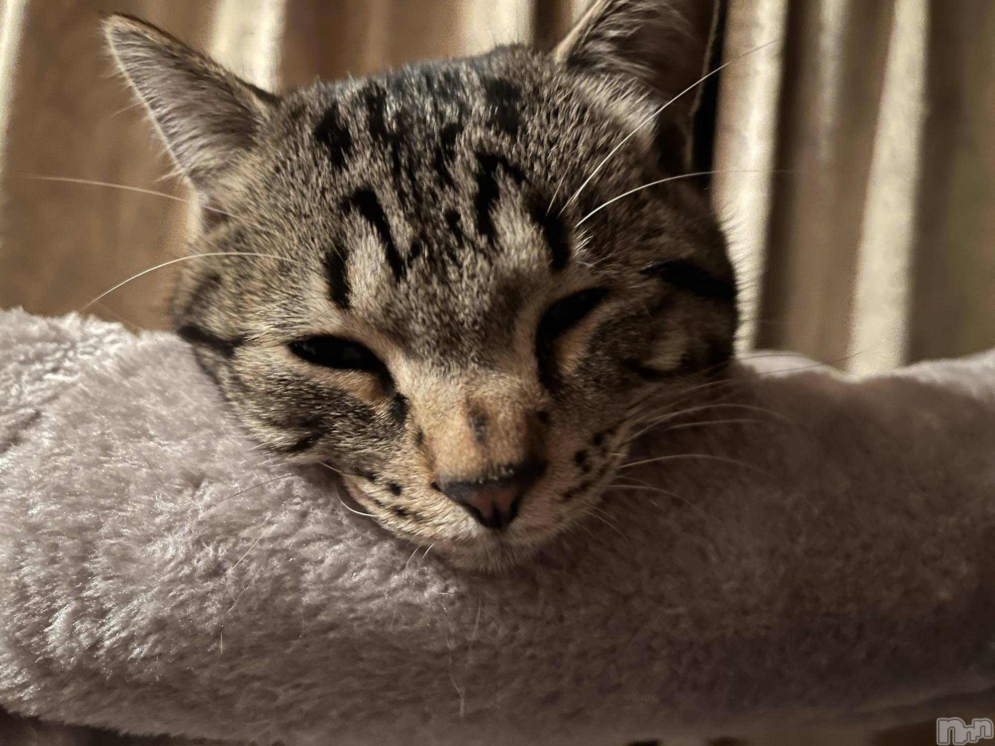 ��ˬ����Х��顦����֥���� �ץ���� ��ˬ(����� �ץ���� ����) ��2022ǯ5��11���̥�֥����֤���Ф��🫶��