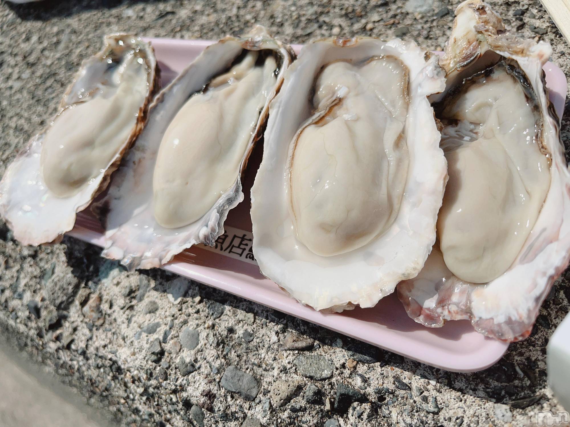 ��ˬ����Х��顦����֥���� �ץ���� ��ˬ(����� �ץ���� ����) ��2022ǯ5��19���̥�֥�����🦪��