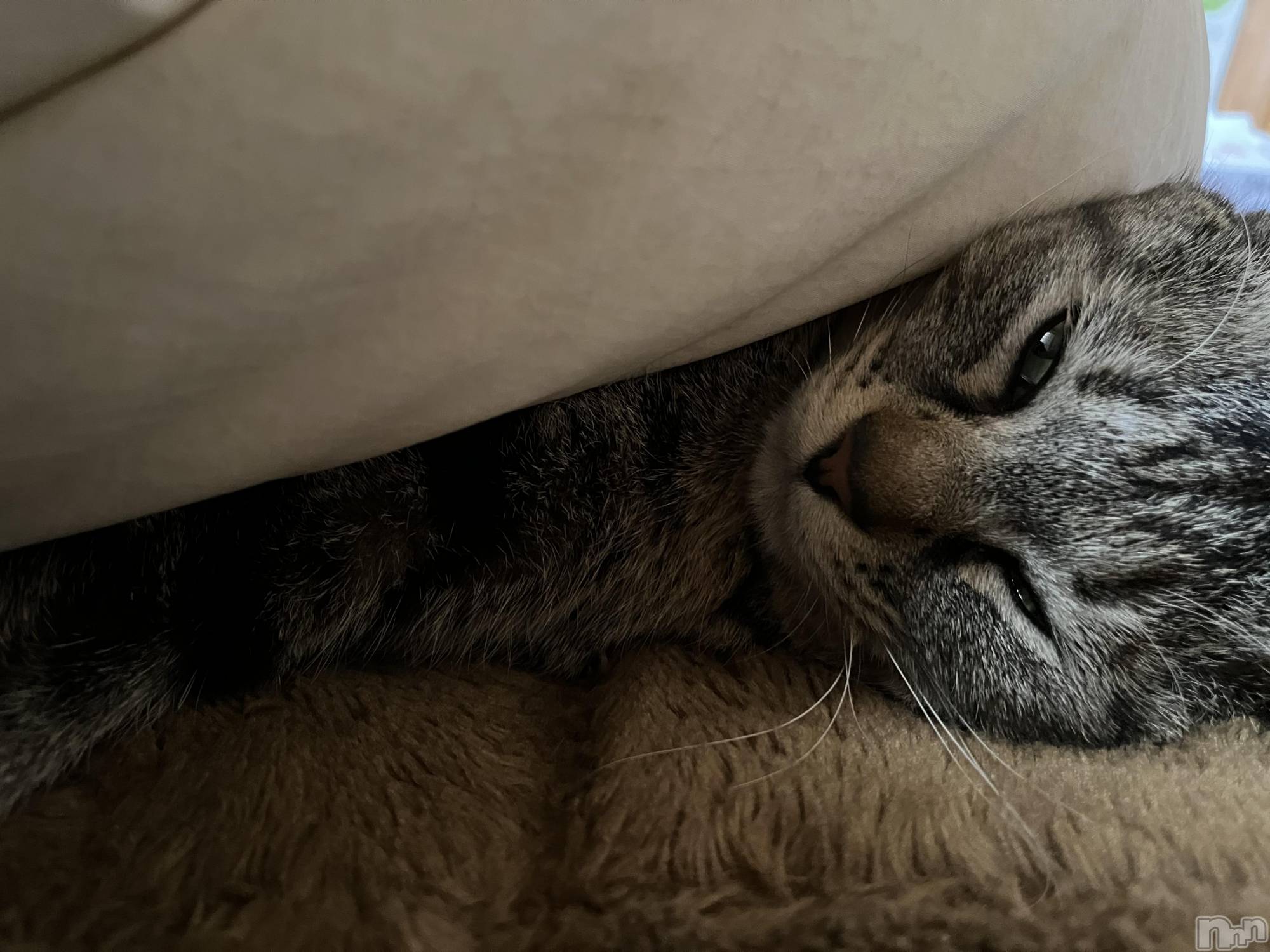 ��ˬ����Х��顦����֥���� �ץ���� ��ˬ(����� �ץ���� ����) ��2022ǯ5��21���̥�֥����֤ͤ���