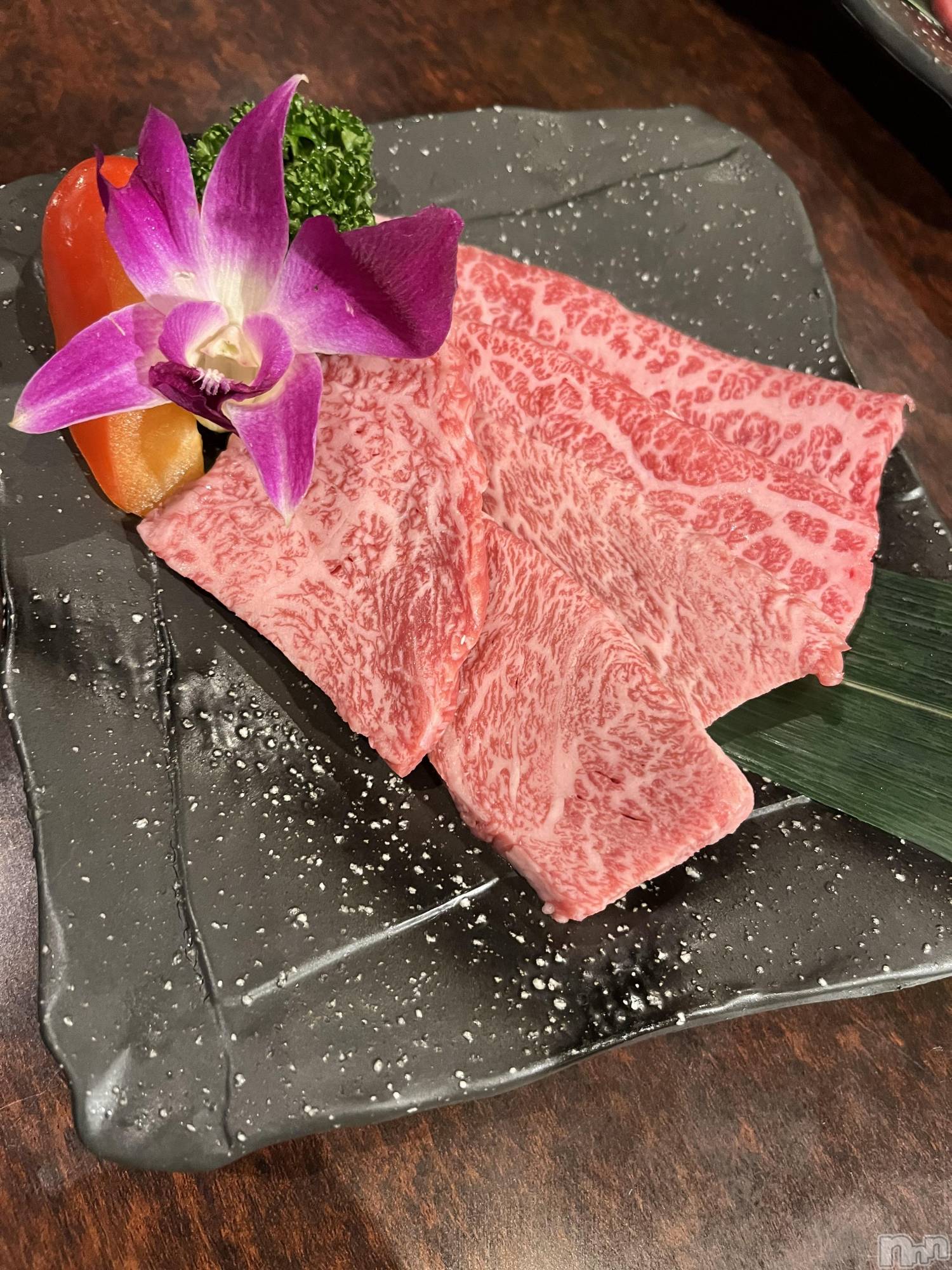 ��ˬ����Х��顦����֥���� �ץ���� ��ˬ(����� �ץ���� ����) ��2022ǯ9��17���̥�֥�������������