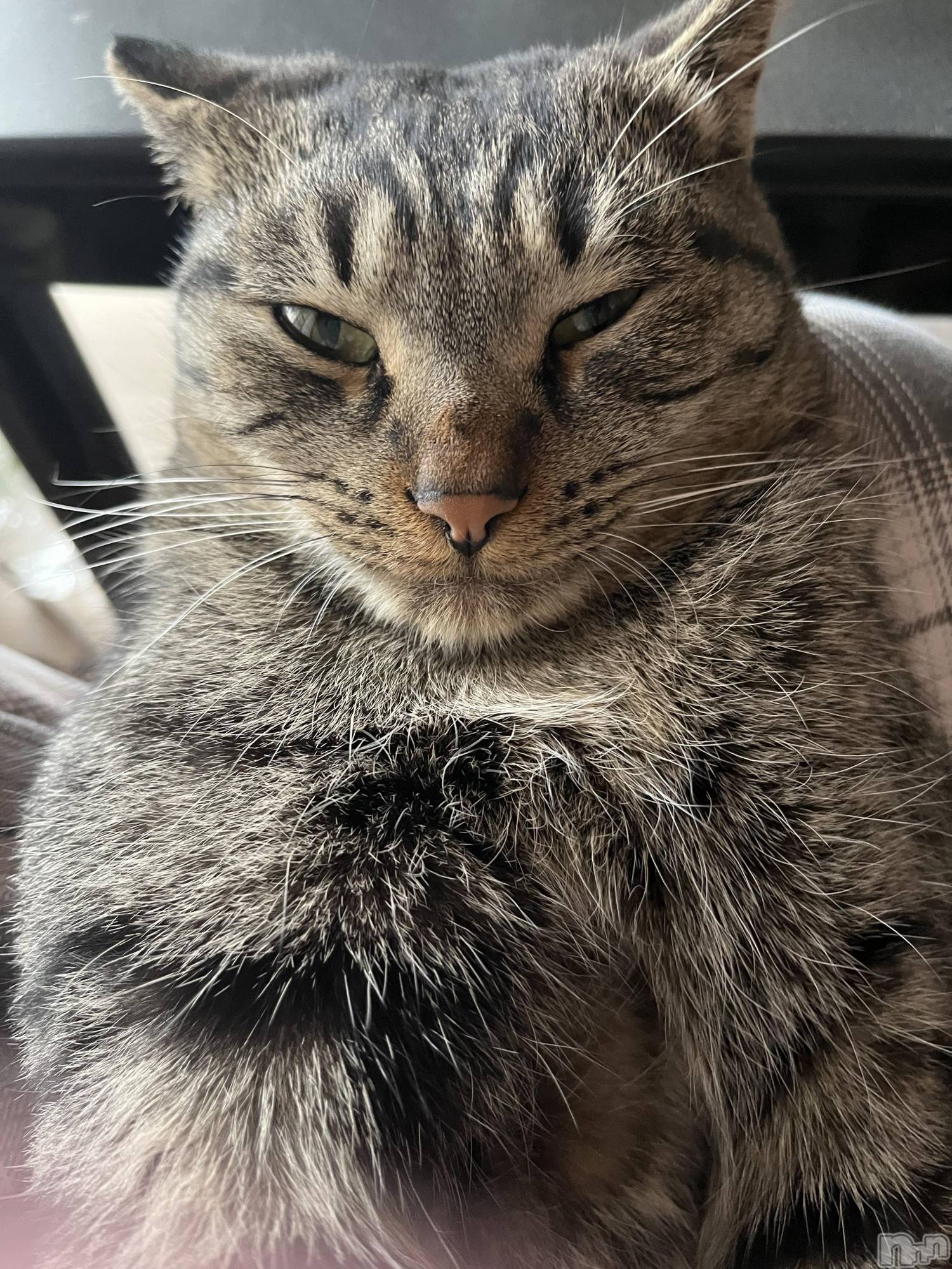 ��ˬ����Х��顦����֥���� �ץ���� ��ˬ(����� �ץ���� ����) ��2022ǯ11��28���̥�֥�����11��28�� 21��02ʬ�Υ֥�����