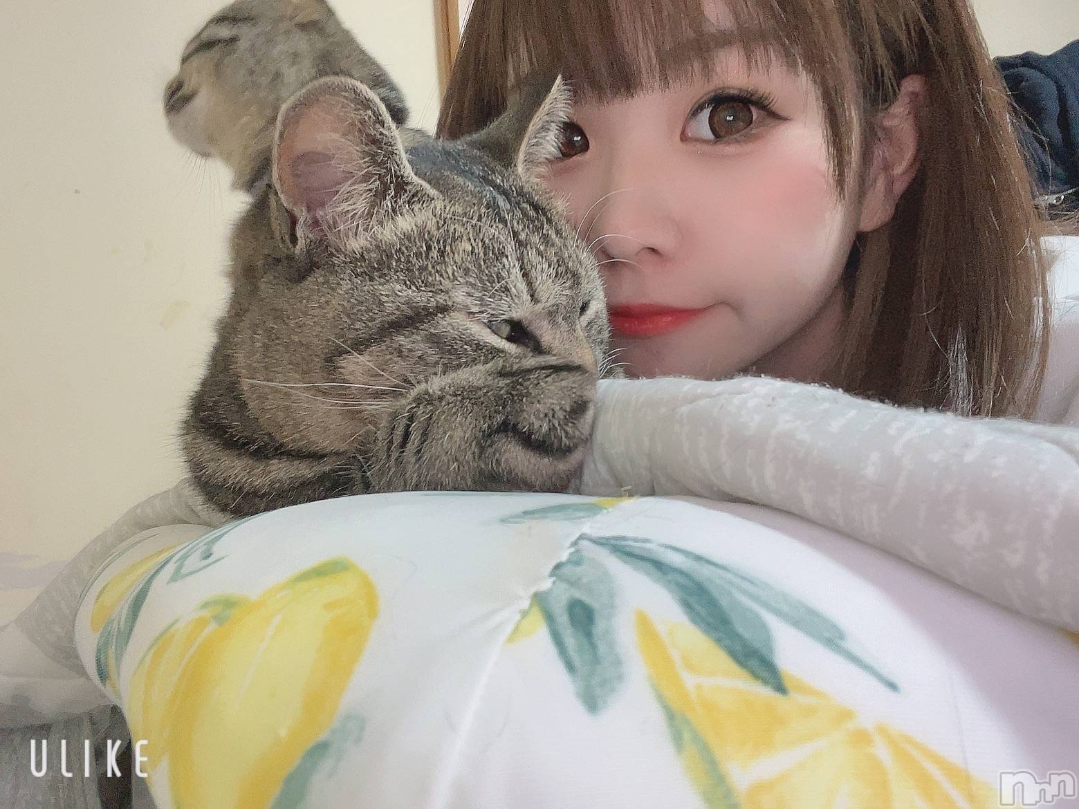 ��ˬ����Х��顦����֥���� �ץ���� ��ˬ(����� �ץ���� ����) ��2022ǯ12��5���̥�֥�����(*���ء�)�ɡ�