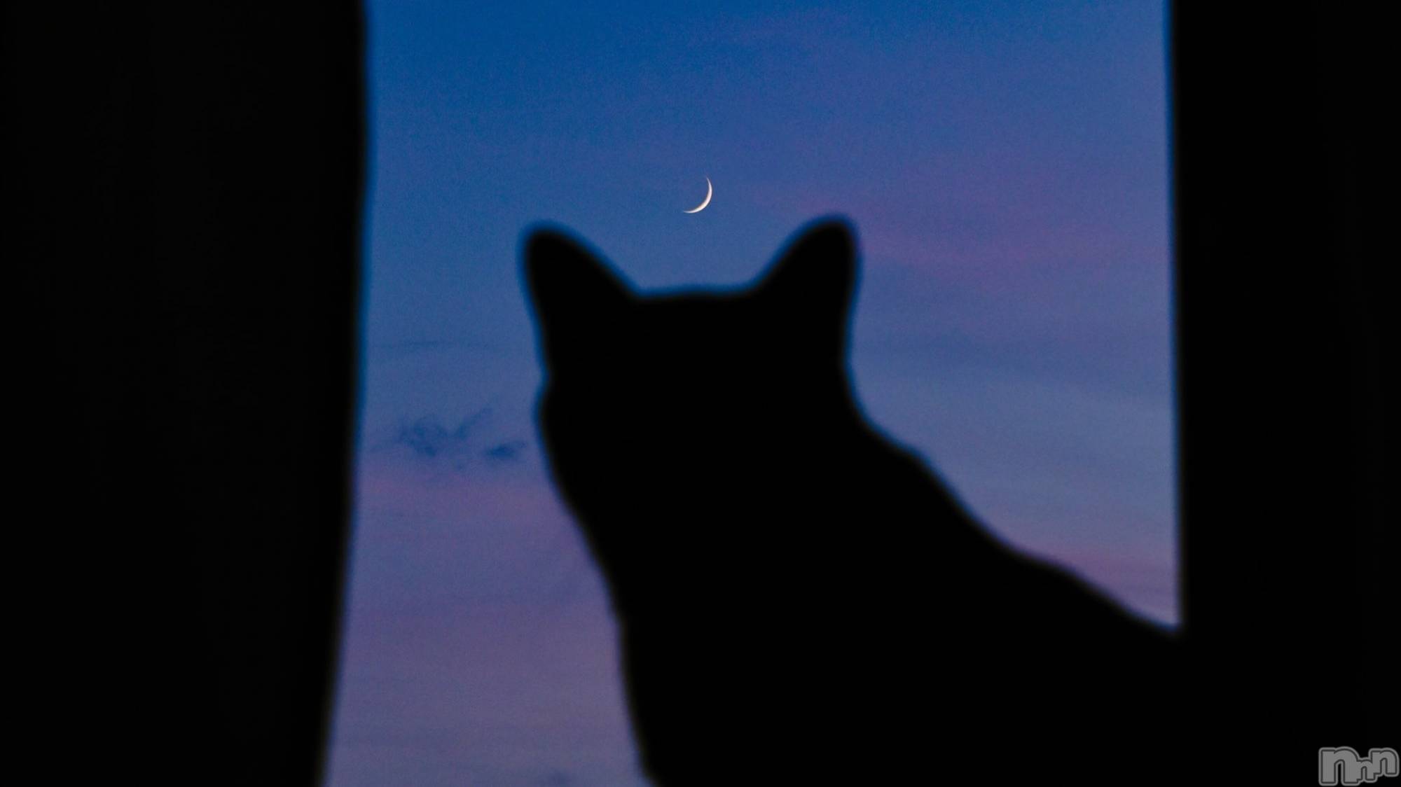 ��ˬ����Х��顦����֥���� �ץ���� ��ˬ(����� �ץ���� ����) ��2023ǯ2��27���̥�֥����֤���Ф�嵐��