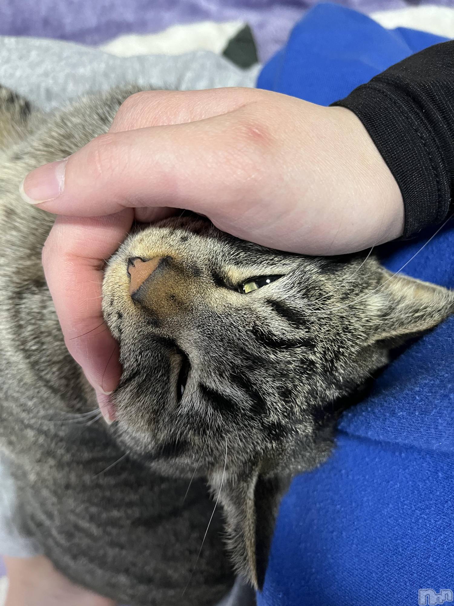 ��ˬ����Х��顦����֥���� �ץ���� ��ˬ(����� �ץ���� ����) ��2023ǯ2��28���̥�֥����֤ˤ�󤳡�