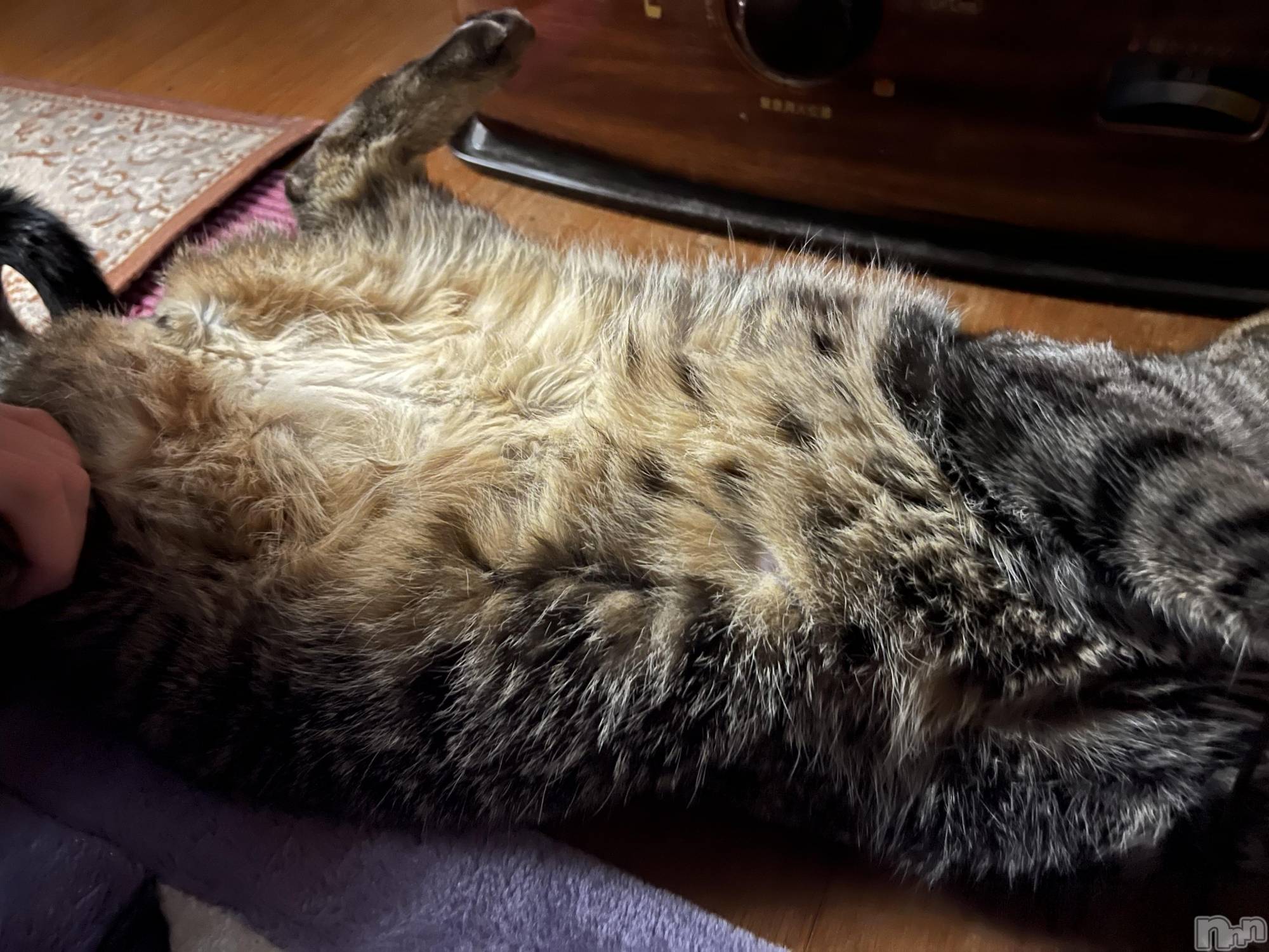 ��ˬ����Х��顦����֥���� �ץ���� ��ˬ(����� �ץ���� ����) ��2023ǯ4��26���̥�֥����֤ͤ���