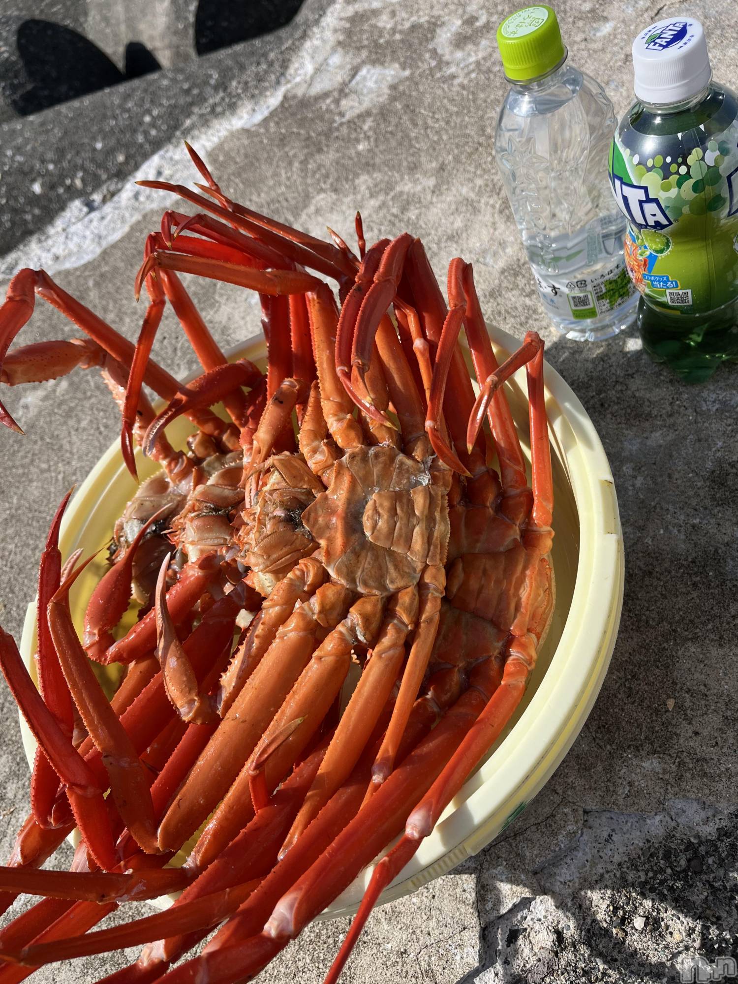 ��ˬ����Х��顦����֥���� �ץ���� ��ˬ(����� �ץ���� ����) ��2023ǯ5��18���̥�֥�����🫣��