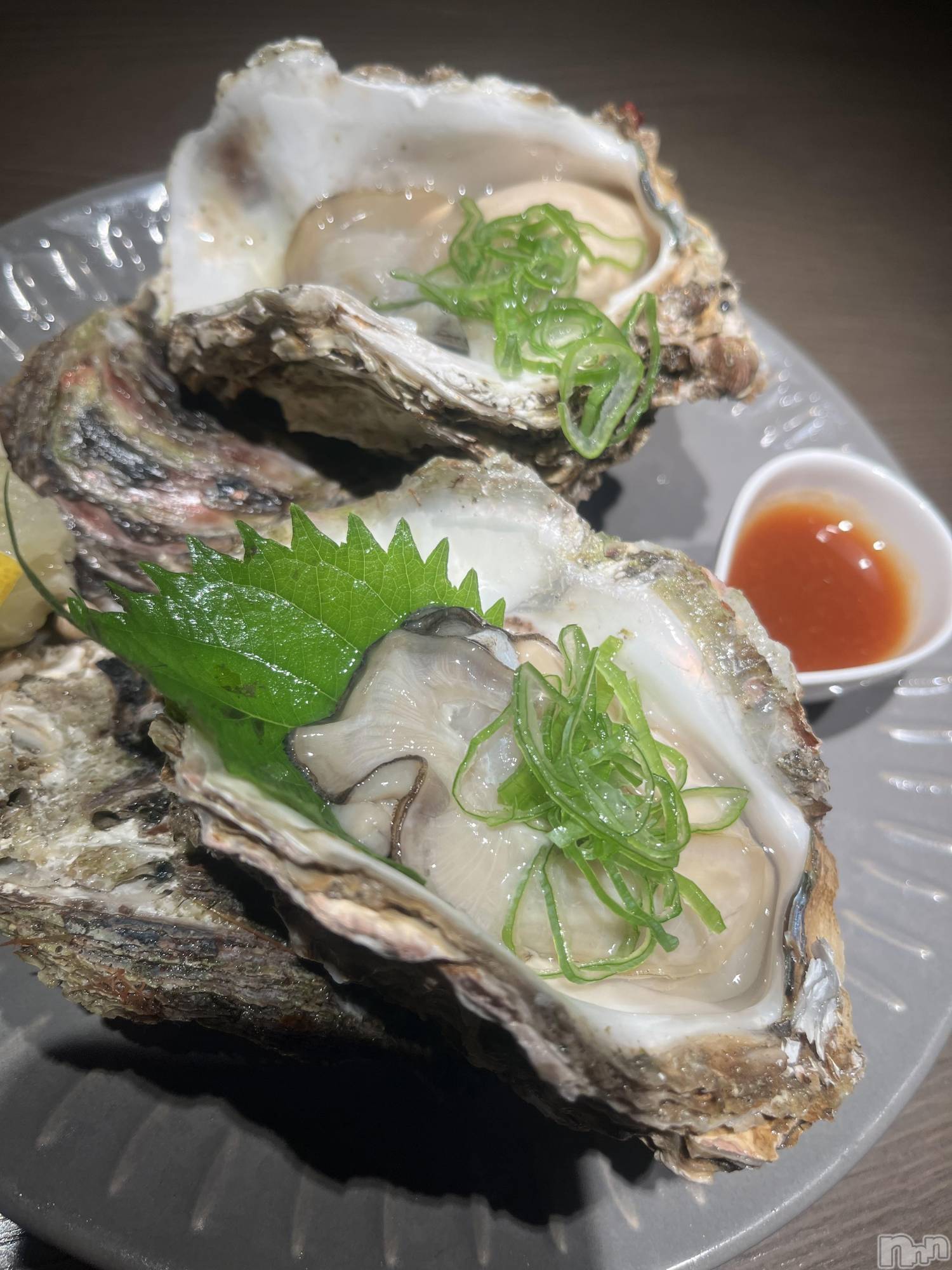 ��ˬ����Х��顦����֥���� �ץ���� ��ˬ(����� �ץ���� ����) ��2023ǯ9��1���̥�֥����ֶ��