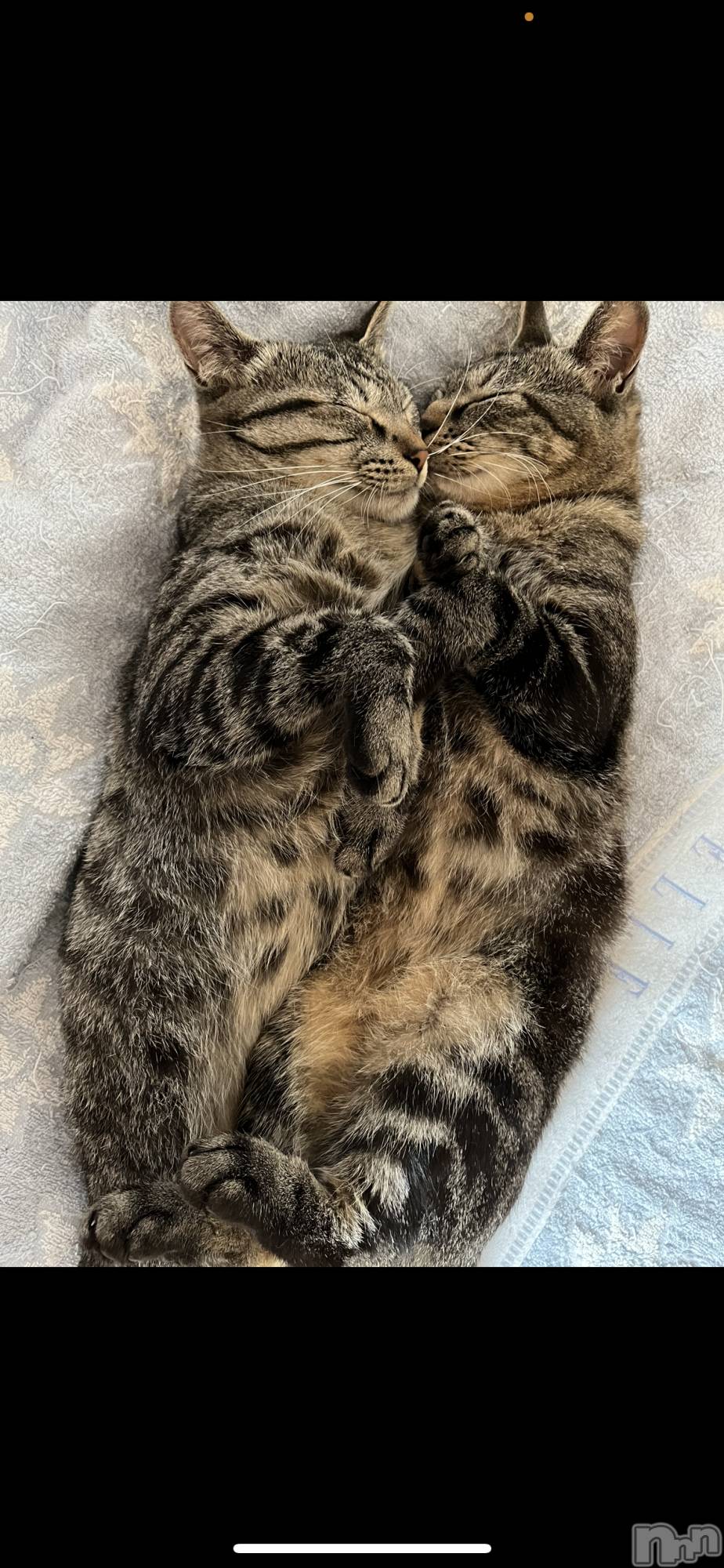 ��ˬ����Х��顦����֥���� �ץ���� ��ˬ(����� �ץ���� ����) ��2023ǯ9��4���̥�֥����֤ˤ��