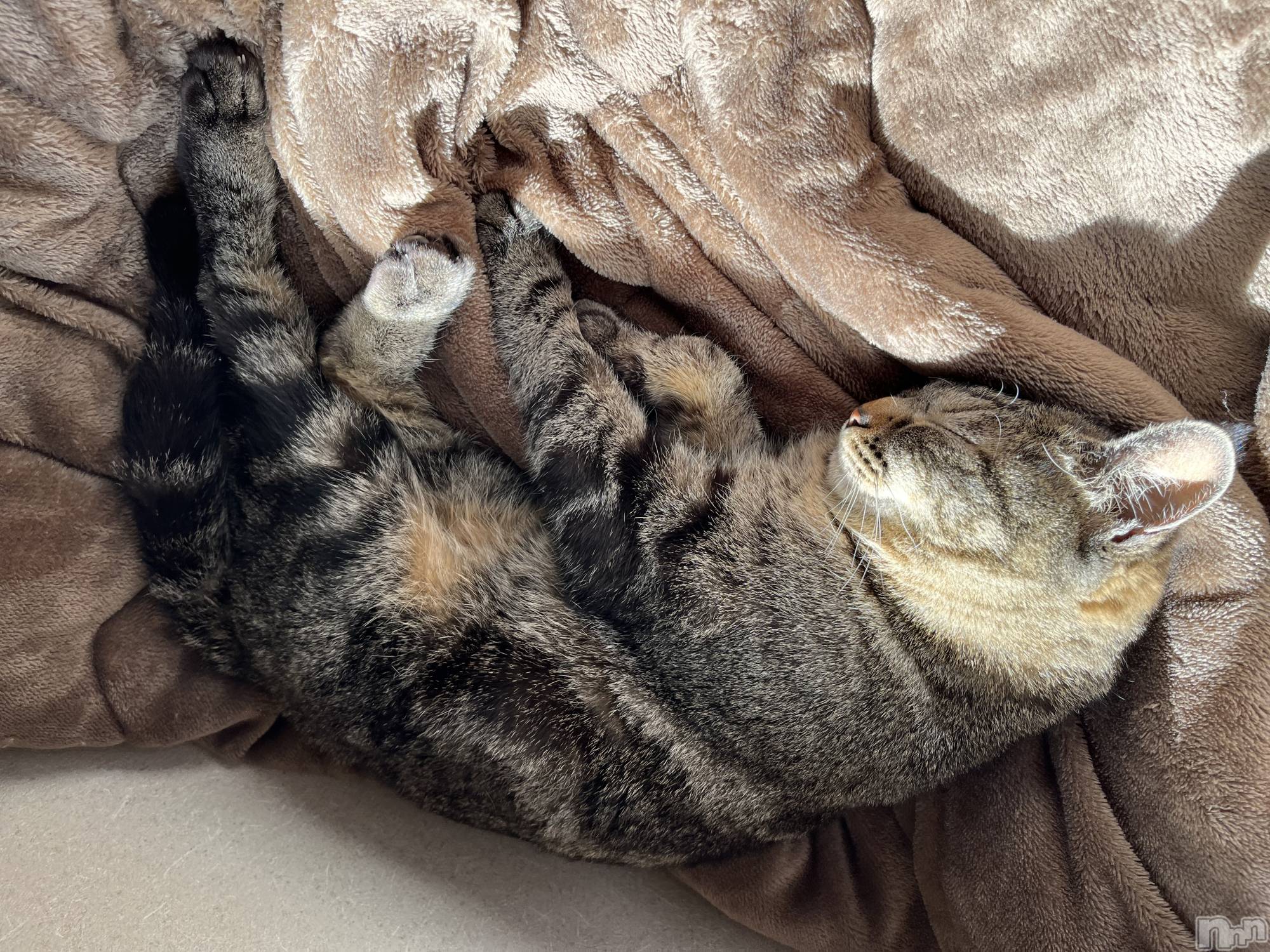 ��ˬ����Х��顦����֥���� �ץ���� ��ˬ(����� �ץ���� ����) ��2023ǯ10��6���̥�֥����֤ͤ���