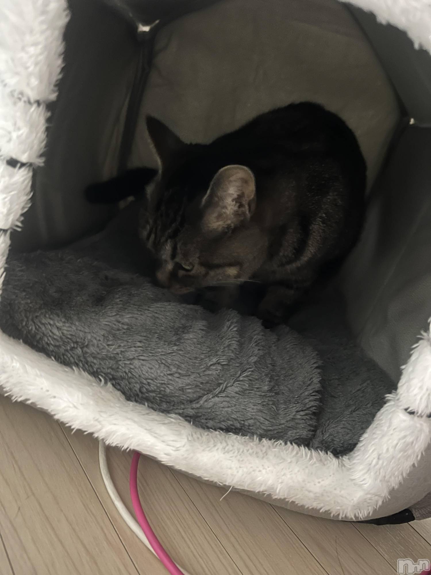 ��ˬ����Х��顦����֥���� �ץ���� ��ˬ(����� �ץ���� ����) ��2023ǯ10��16���̥�֥�����🏡⋆*��