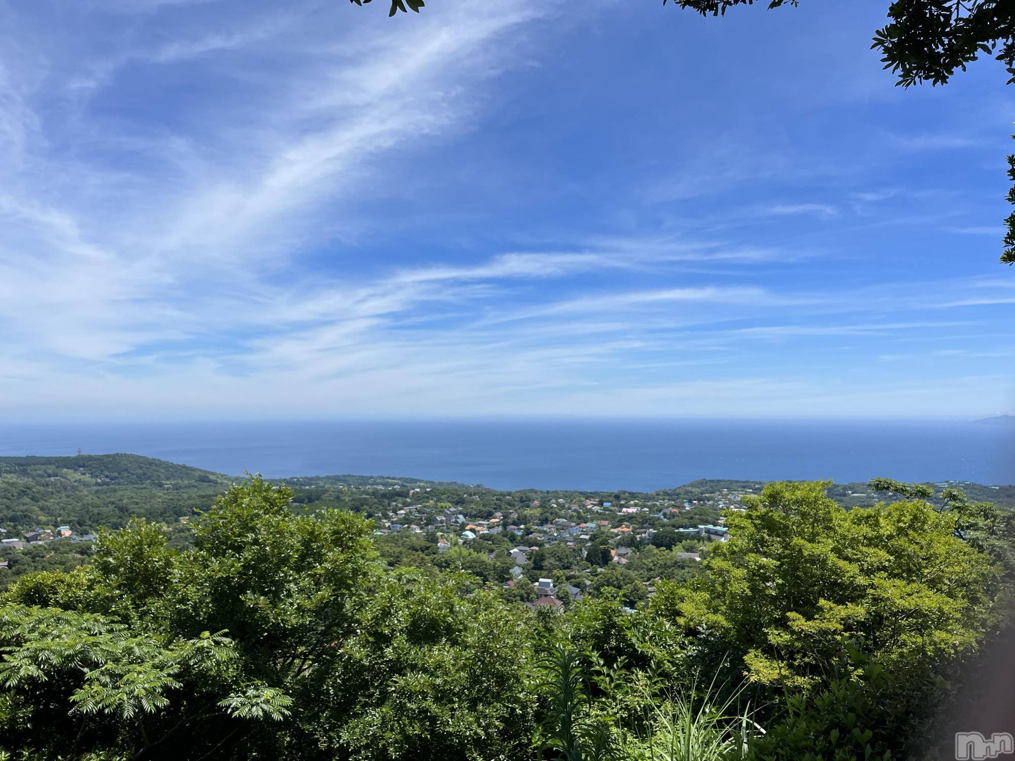 ��ˬ����Х��顦����֥���� �ץ���� ��ˬ(����� �ץ���� ����) ��2023ǯ11��25���̥�֥�����😮‍💨��