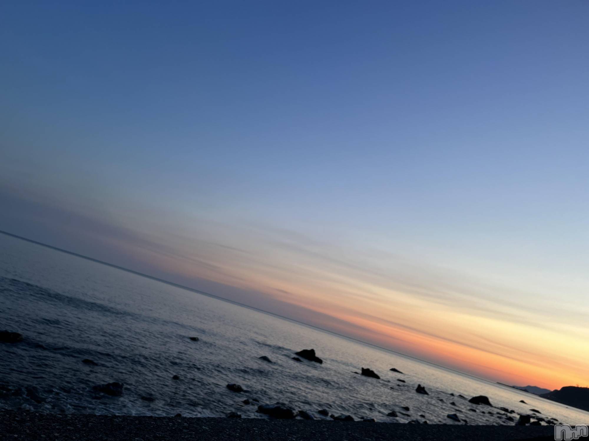 ��ˬ����Х��顦����֥���� �ץ���� ��ˬ(����� �ץ���� ����) ��2023ǯ11��28���̥�֥�����🏖��