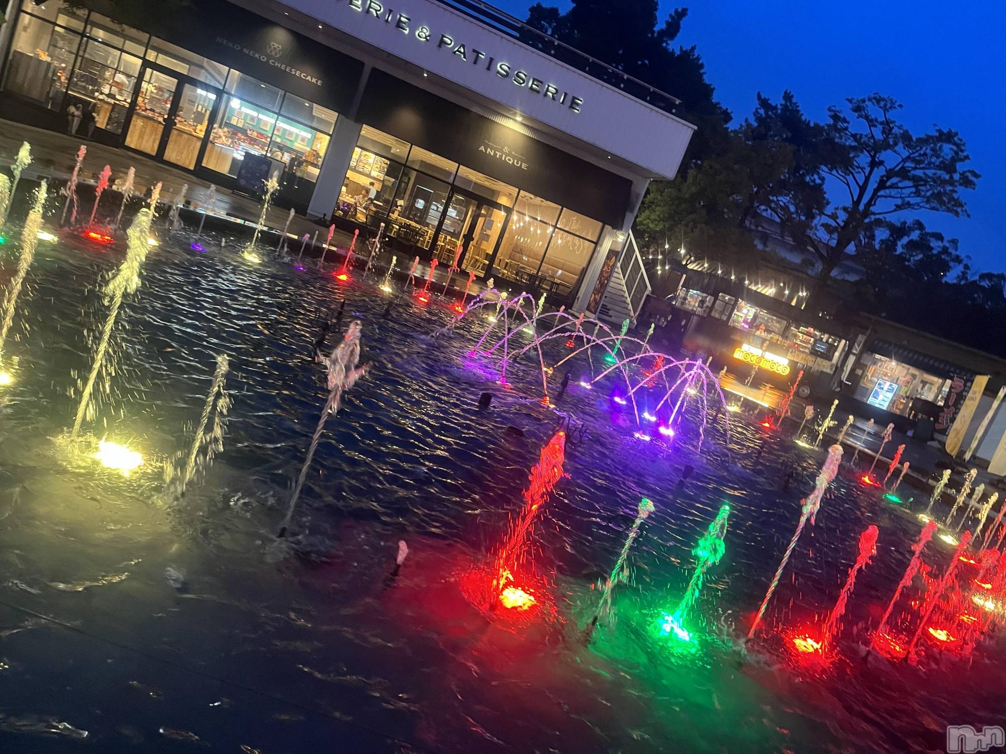 ��ˬ����Х��顦����֥���� �ץ���� ��ˬ(����� �ץ���� ����) ��2024ǯ2��2���̥�֥�����⛲️��