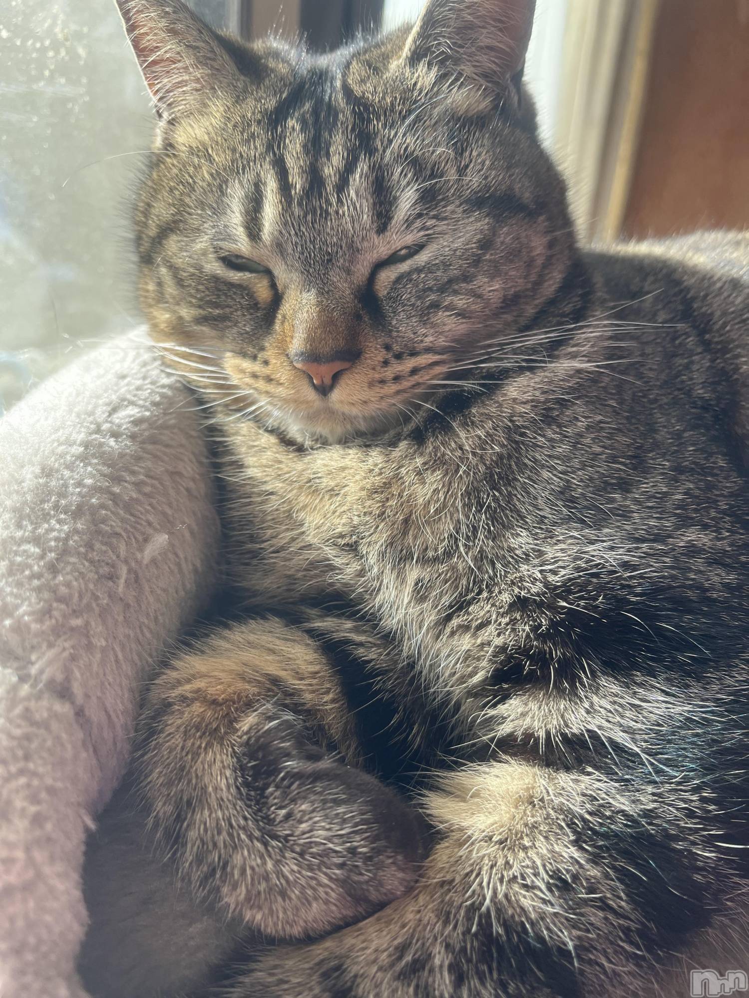 ��ˬ����Х��顦����֥���� �ץ���� ��ˬ(����� �ץ���� ����) ��2024ǯ2��18���̥�֥�����☺️��