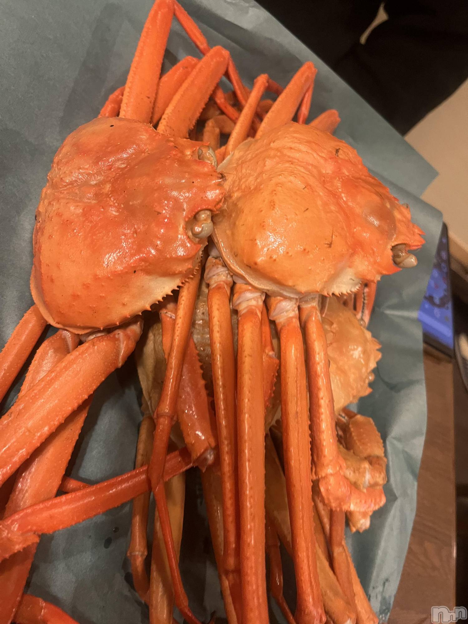 ��ˬ����Х��顦����֥���� �ץ���� ��ˬ(����� �ץ���� ����) ��2024ǯ3��16���̥�֥�������������