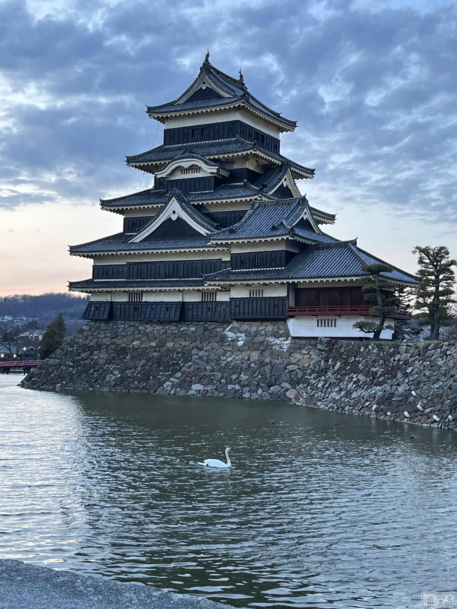 ��ˬ����Х��顦����֥���� �ץ���� ��ˬ(����� �ץ���� ����) ��2024ǯ4��10���̥�֥����ֿ�������